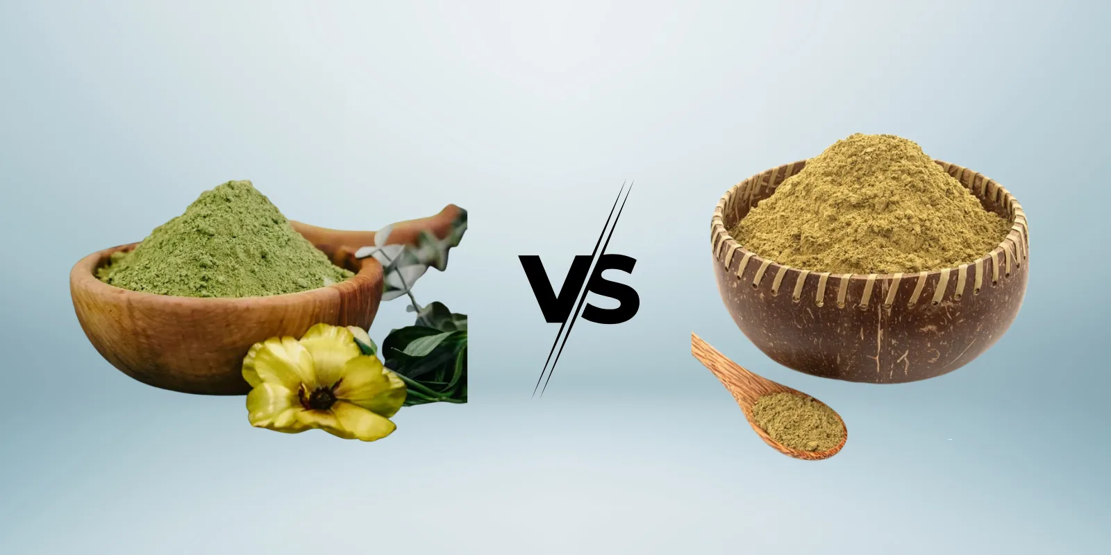 Green Malay vs Super Green Malay: What’s the Difference and Which One to Choose?